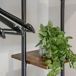 The Quadrant - The Botanical Suite